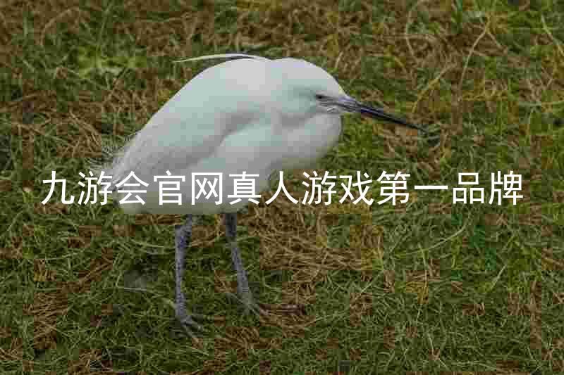 九游会官网真人游戏第一品牌